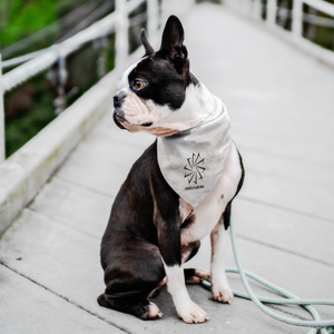 Decagon Pet Bandana